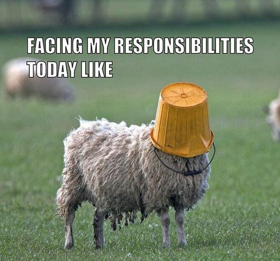 7781c18bb1391466e9cf0f0122ae8077